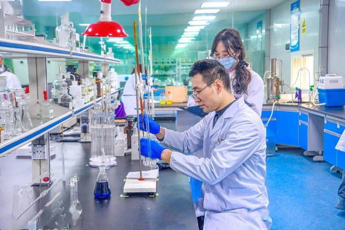 重慶潼南 加快建設成渝中部重要人才集聚地