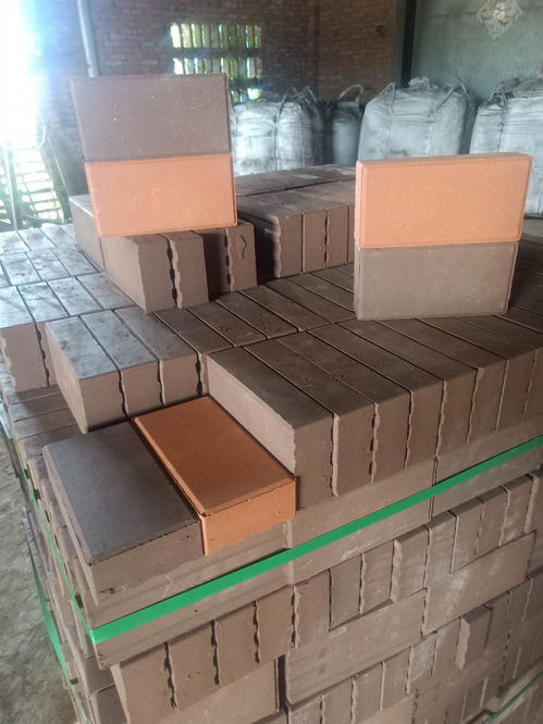 臨高頁巖燒結(jié)磚定制工廠