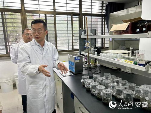 東華科技舉辦媒體開放日活動(dòng)